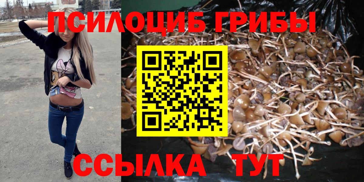 Галлюциногенные грибы MAGIC MUSHROOMS Владивосток