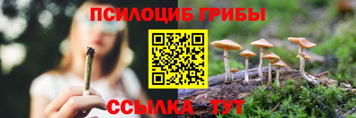 Галлюциногенные грибы мицелий  Галлюциногенные грибы мицелий  Владивосток  Вход с VPN 