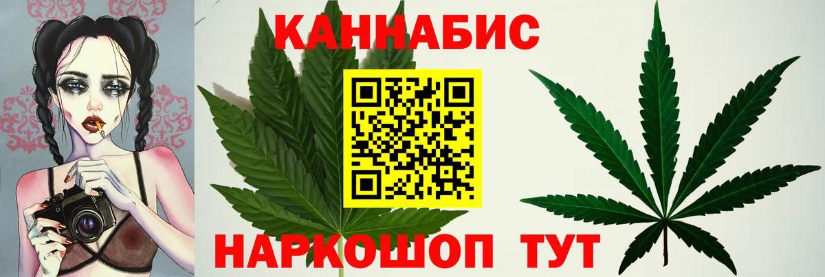 Псилоцибиновые грибы Владивосток